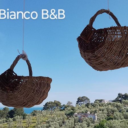 B&B L'Altare Bianco ヴィエステ エクステリア 写真
