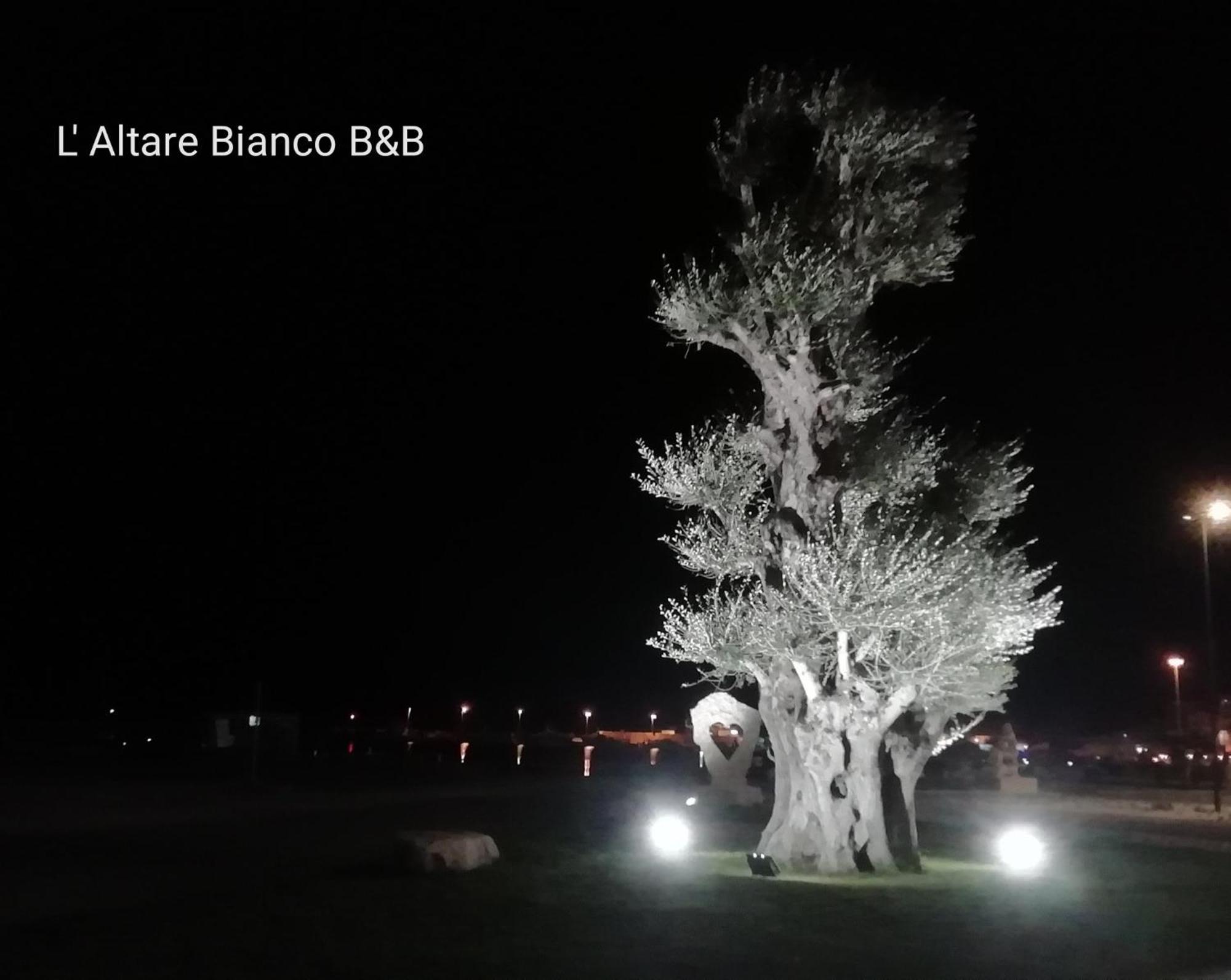 B&B L'Altare Bianco ヴィエステ エクステリア 写真